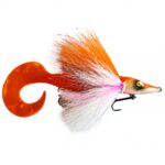 Disco Pike Junior Albino