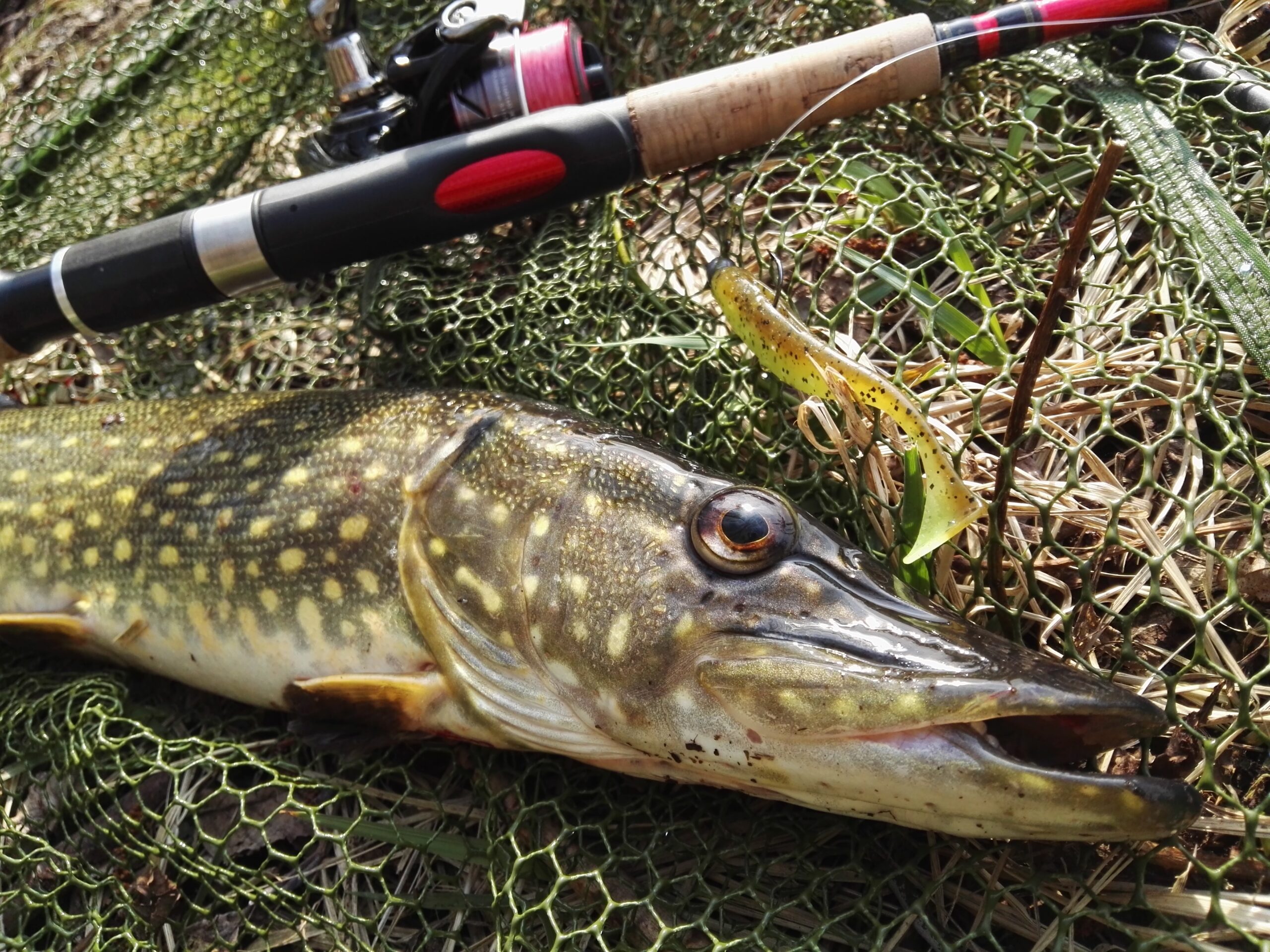 Hook More Fish This Season with Handmade Pike Lures