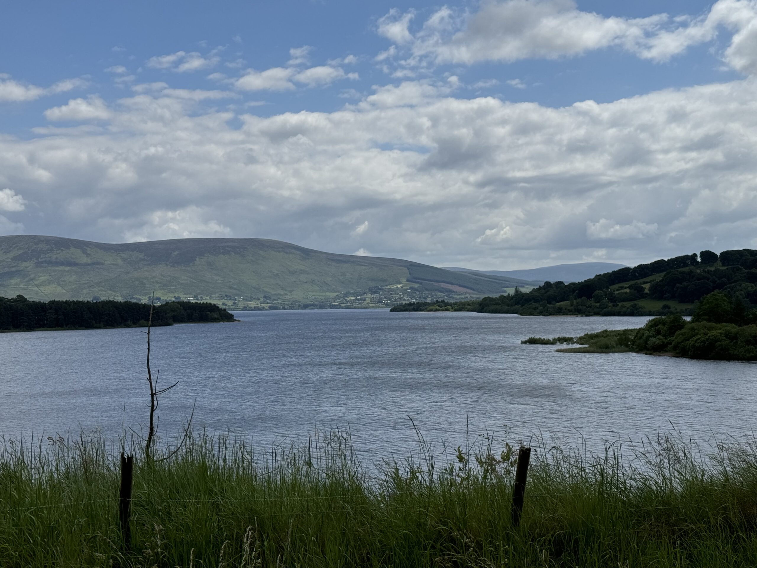 Blessington Lake