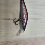 The Classic Trout