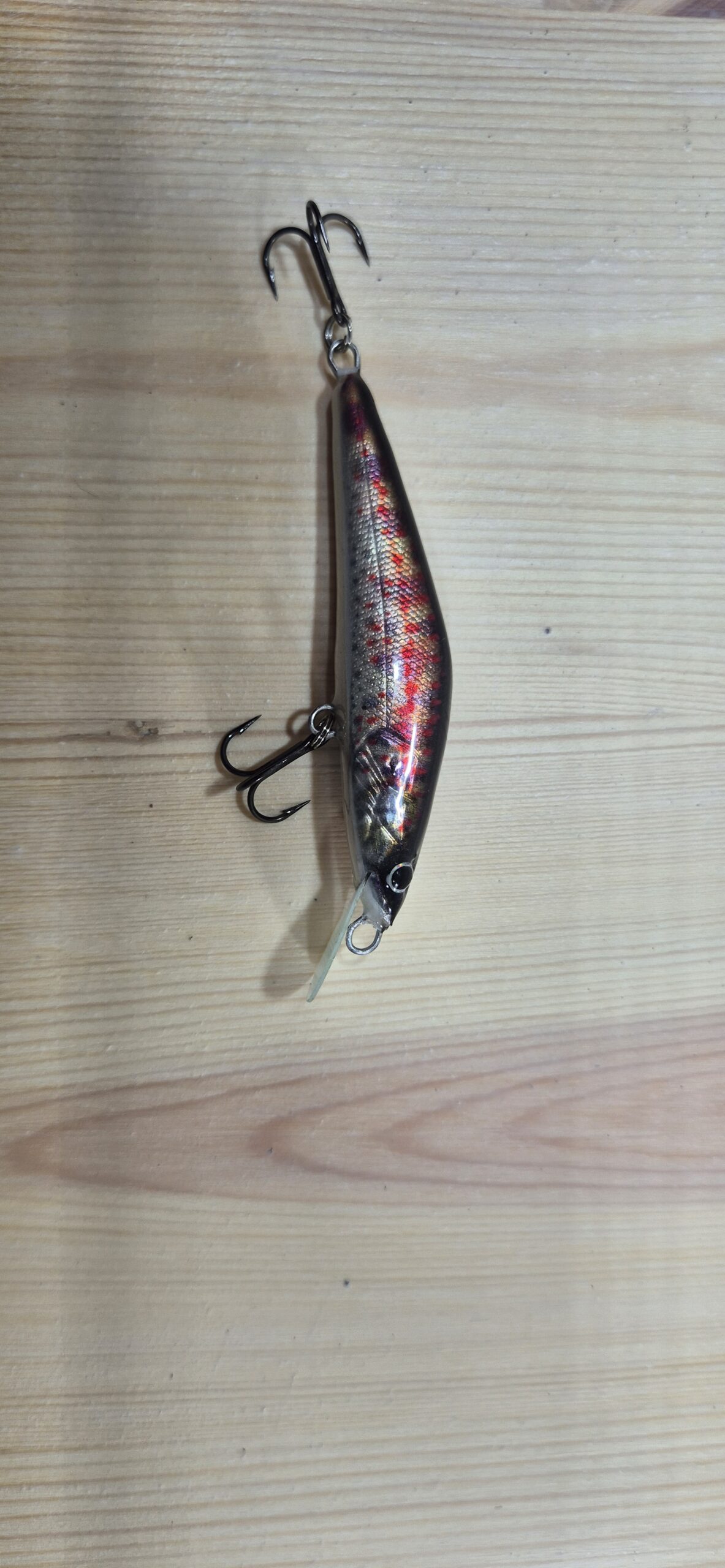 The Classic Trout