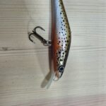 The Bleeding Trout