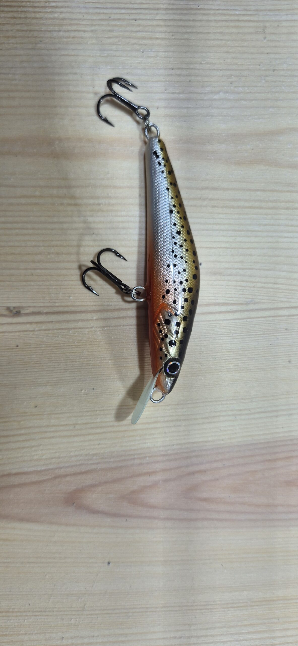 The Bleeding Trout