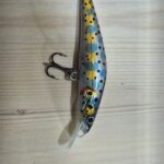 Wild Water Waker