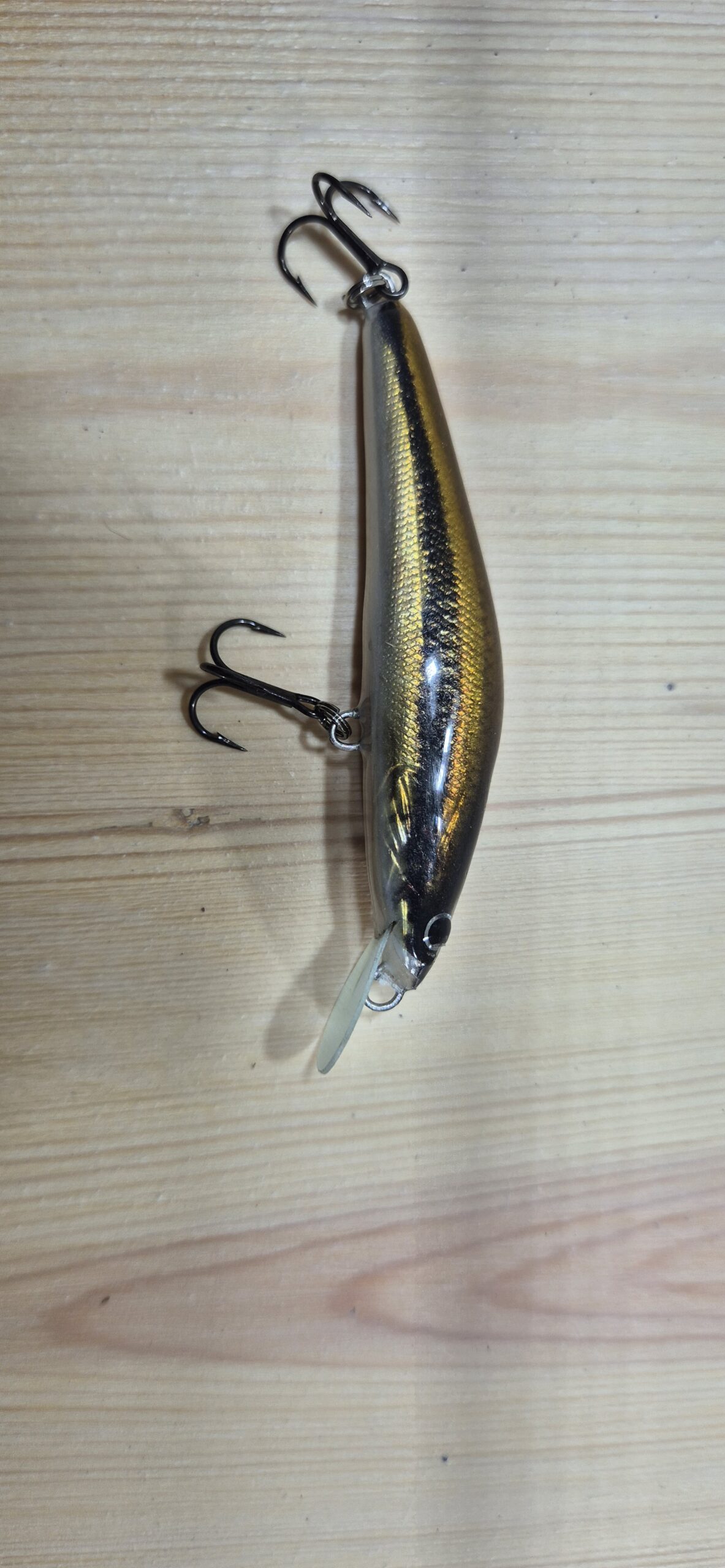 Trout Teaser