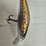 Gold Red Trout