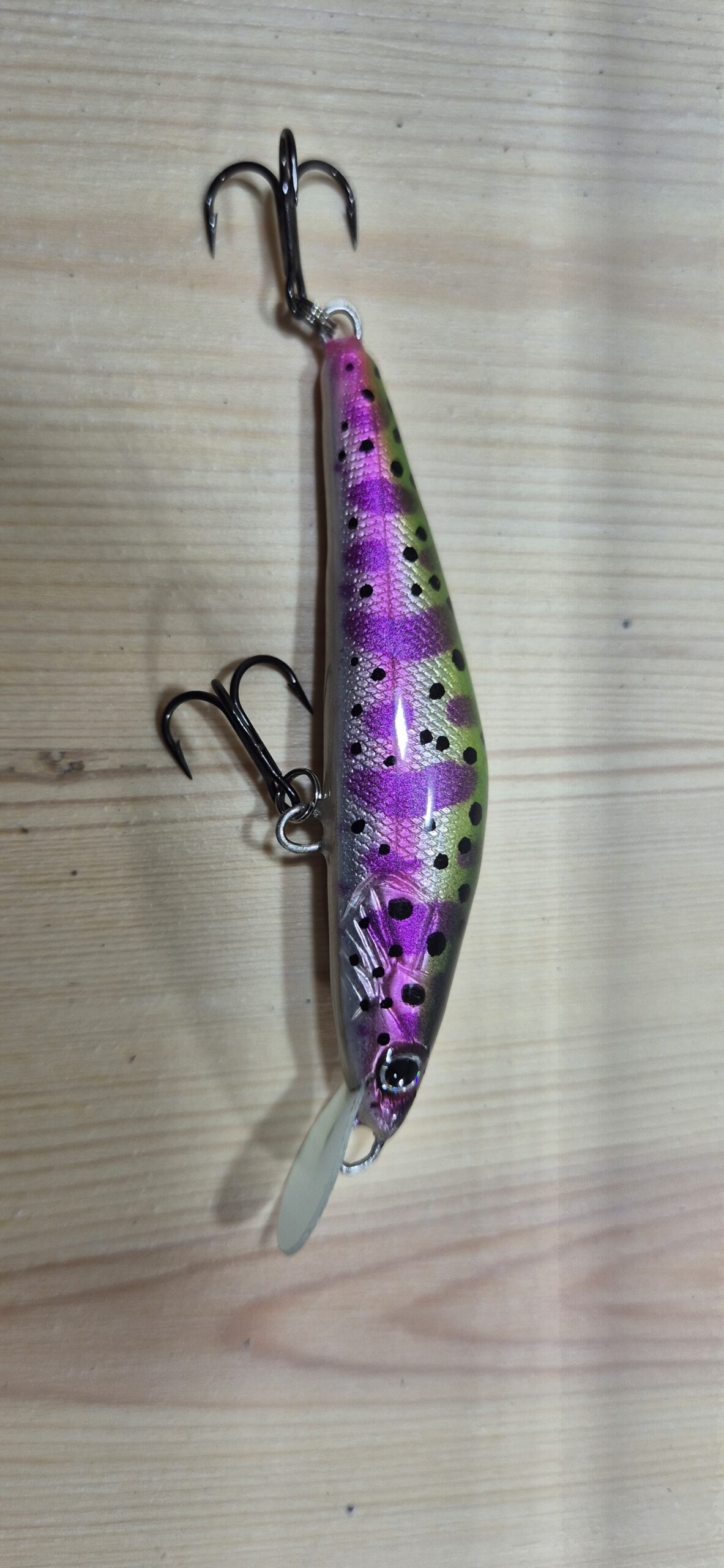 Rainbow Trout