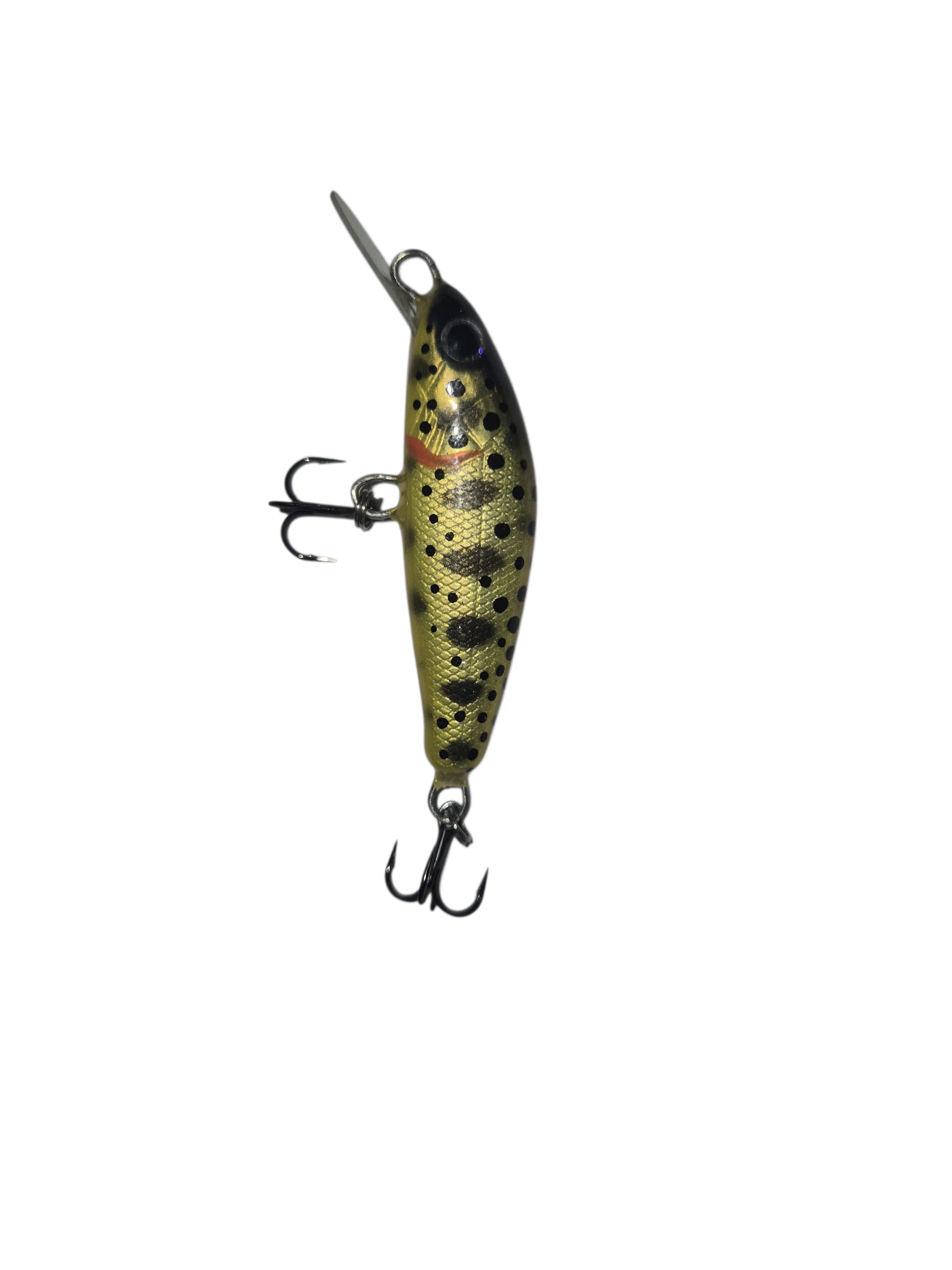 Black Yellow Killer