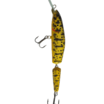 Yellow Black Trout