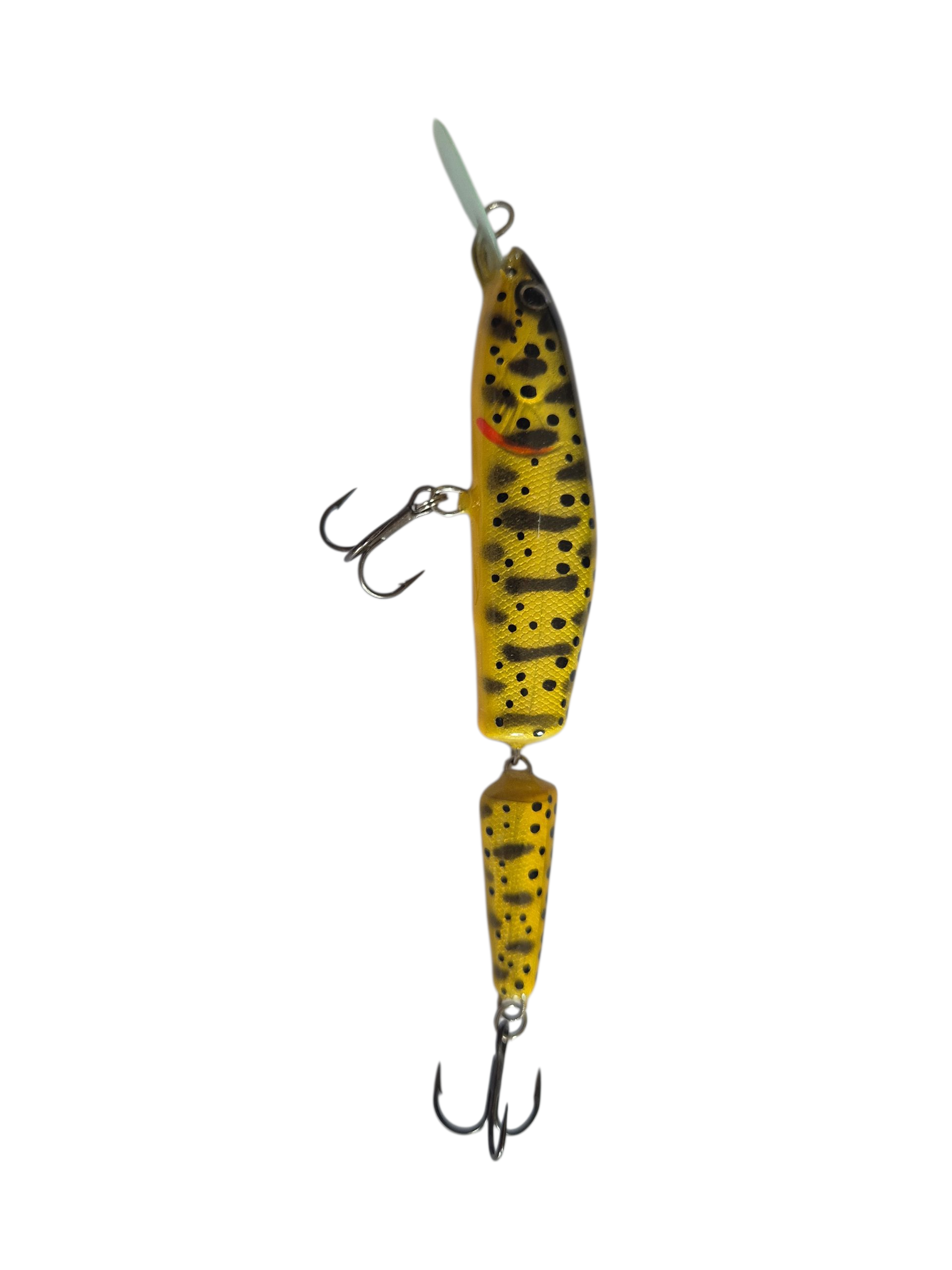 Yellow Black Trout