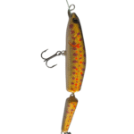 The Magic Trout