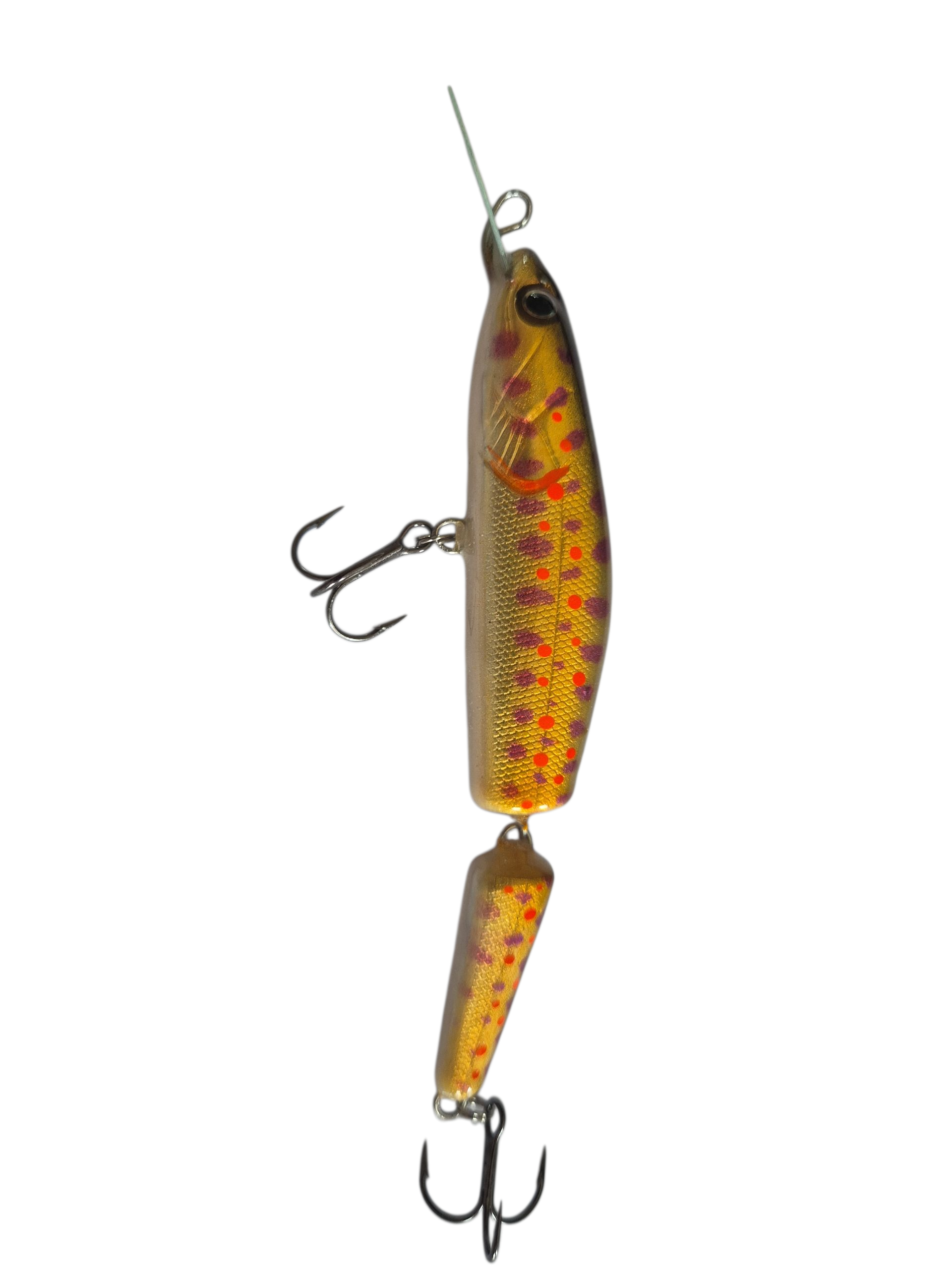 The Magic Trout