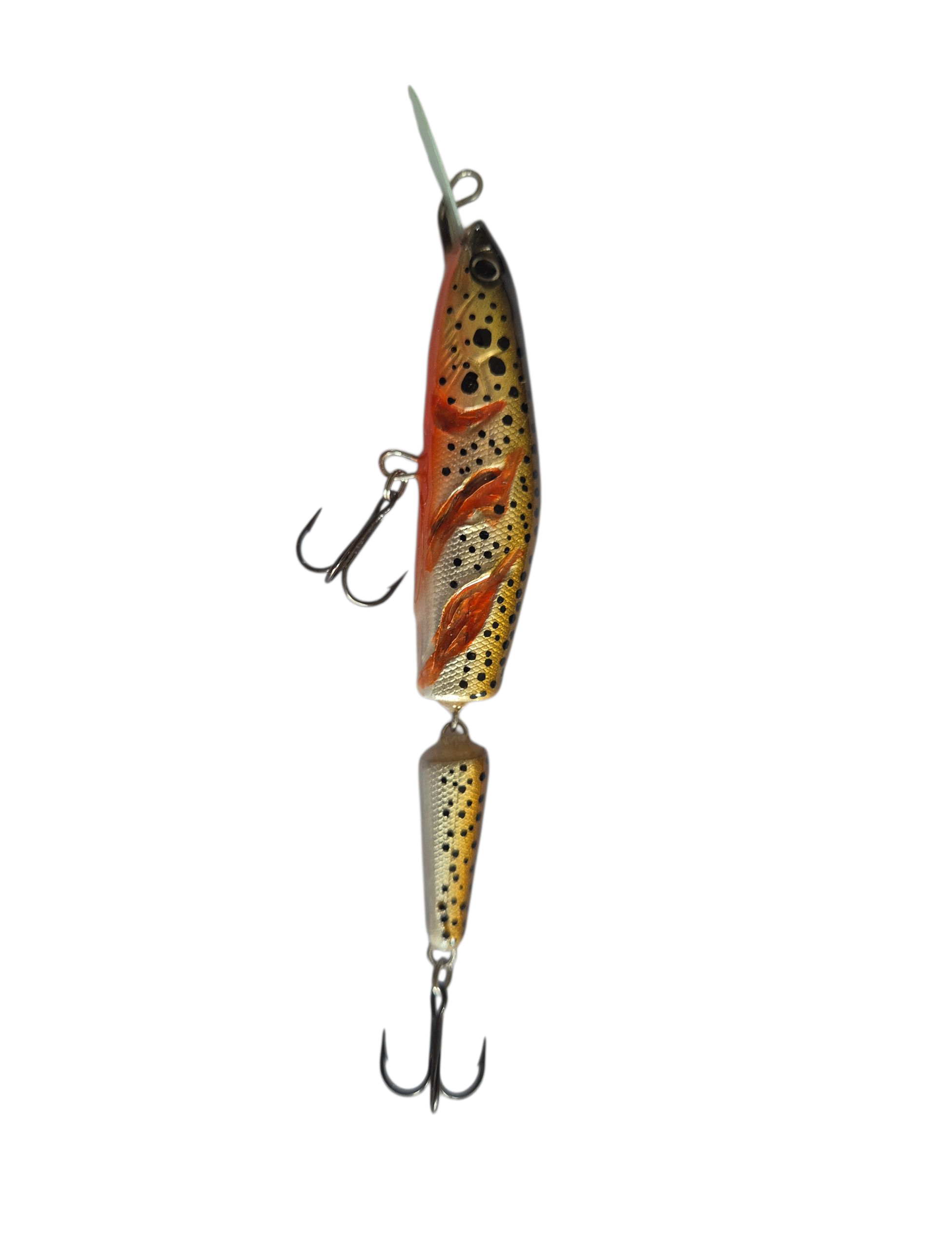 Gold Orange Trout