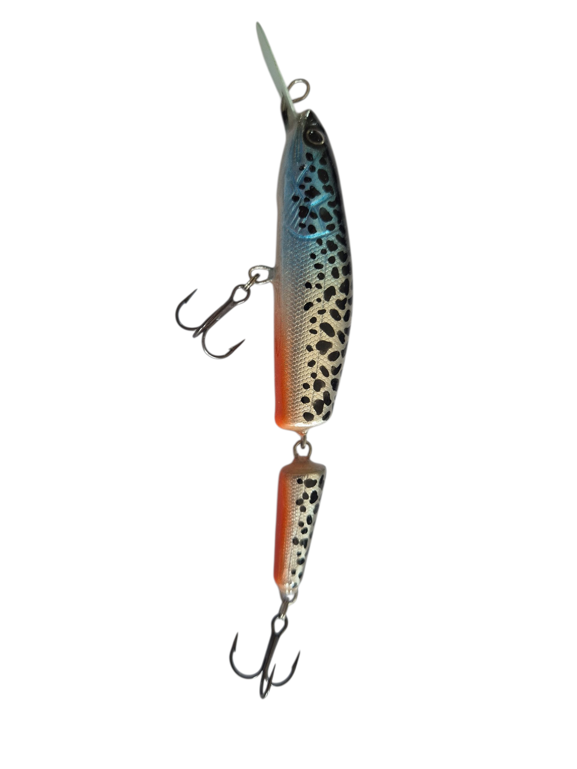 The Lucky Trout