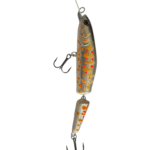 Silver Orange Trout