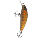 Gold Trout
