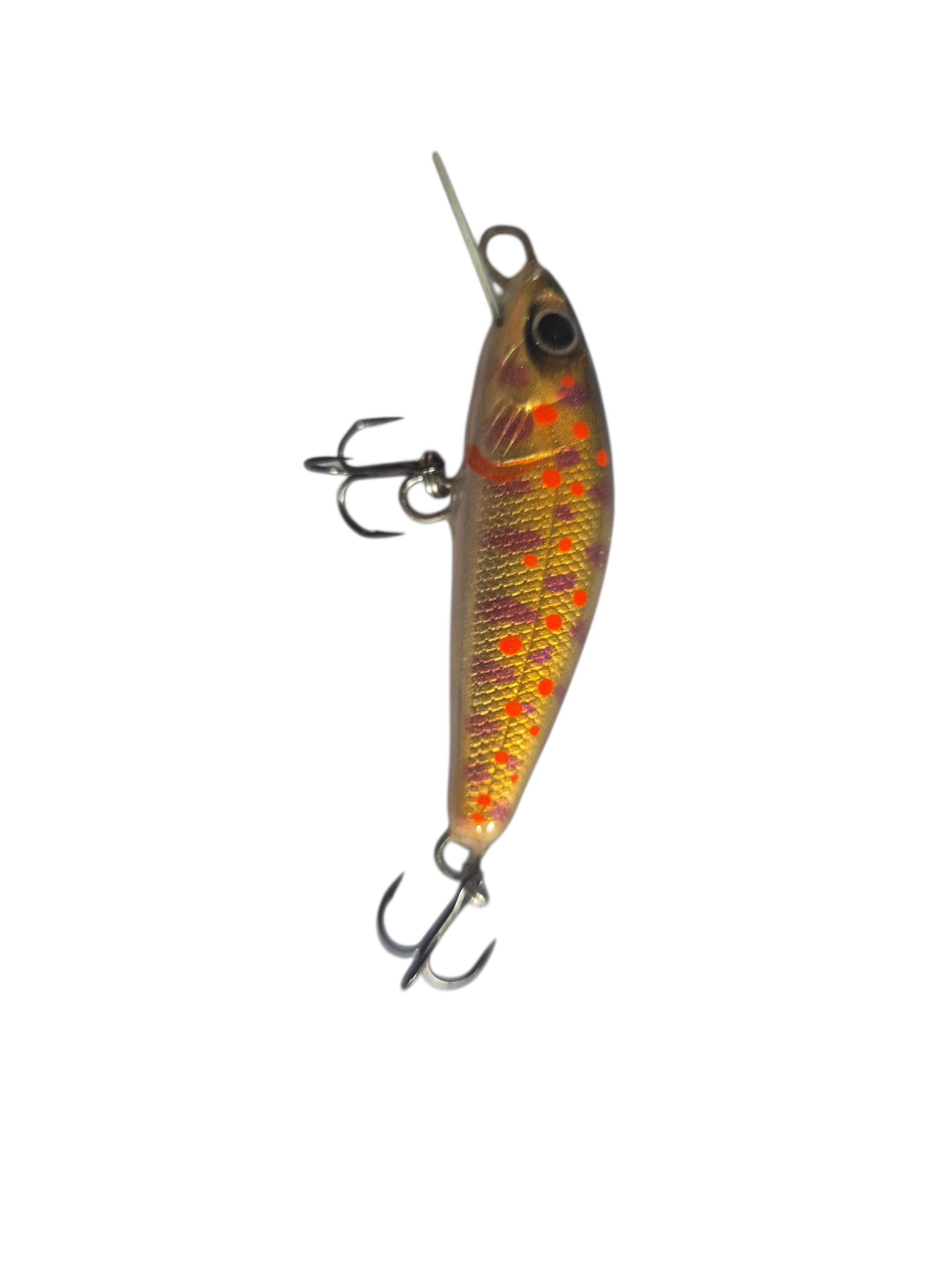 Gold Trout