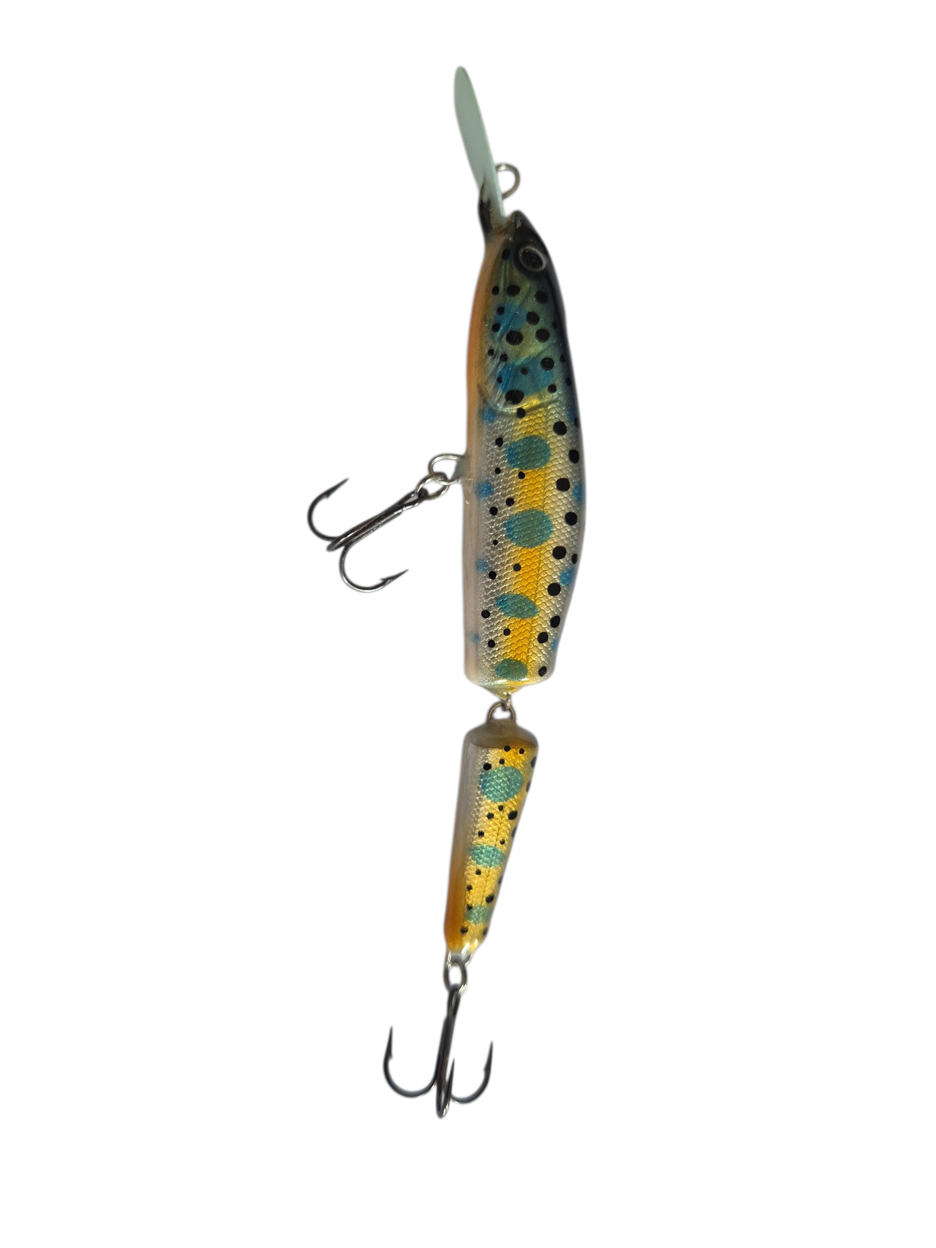 Blue Silver Trout