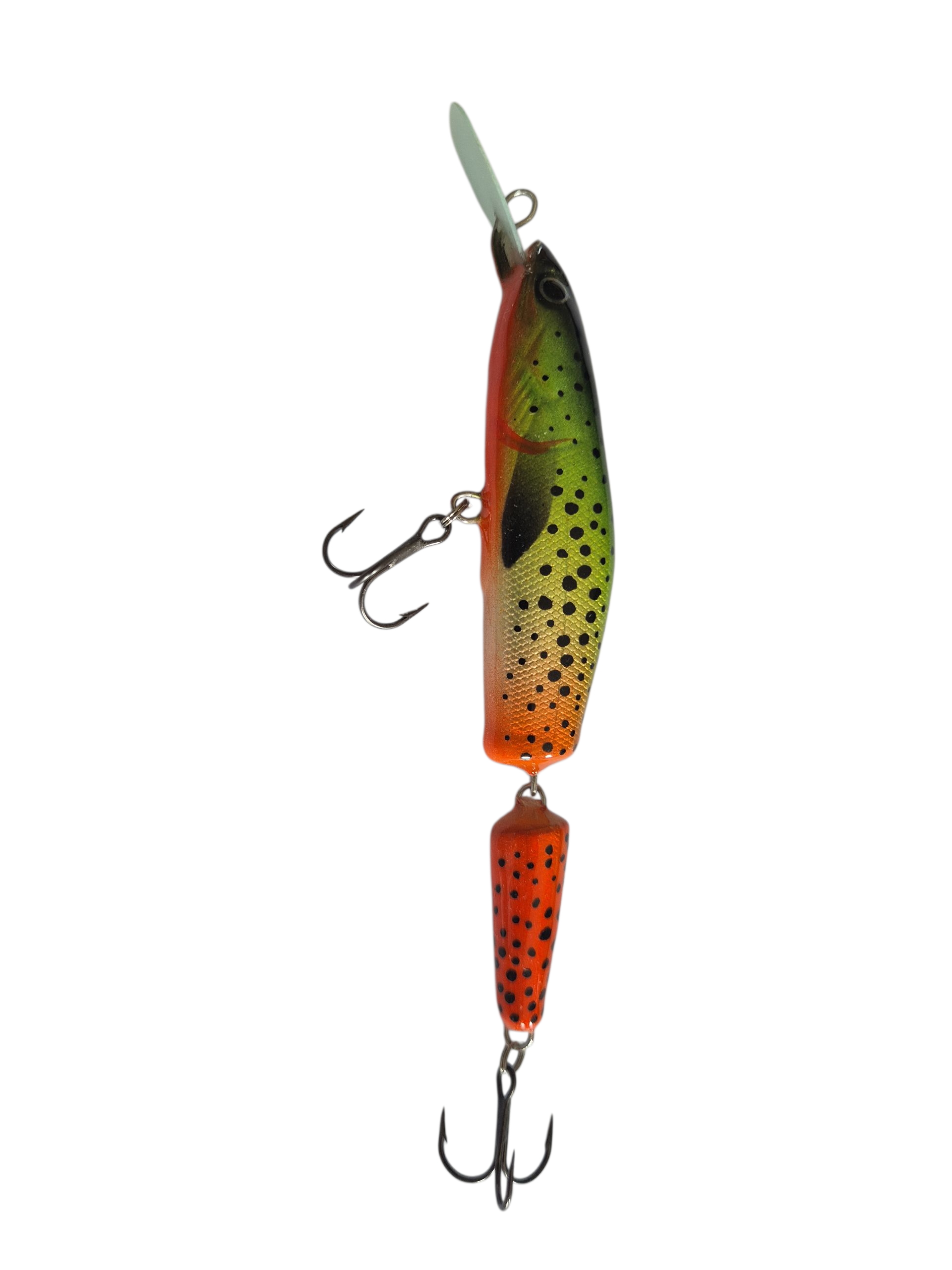 Gold Orange Trout