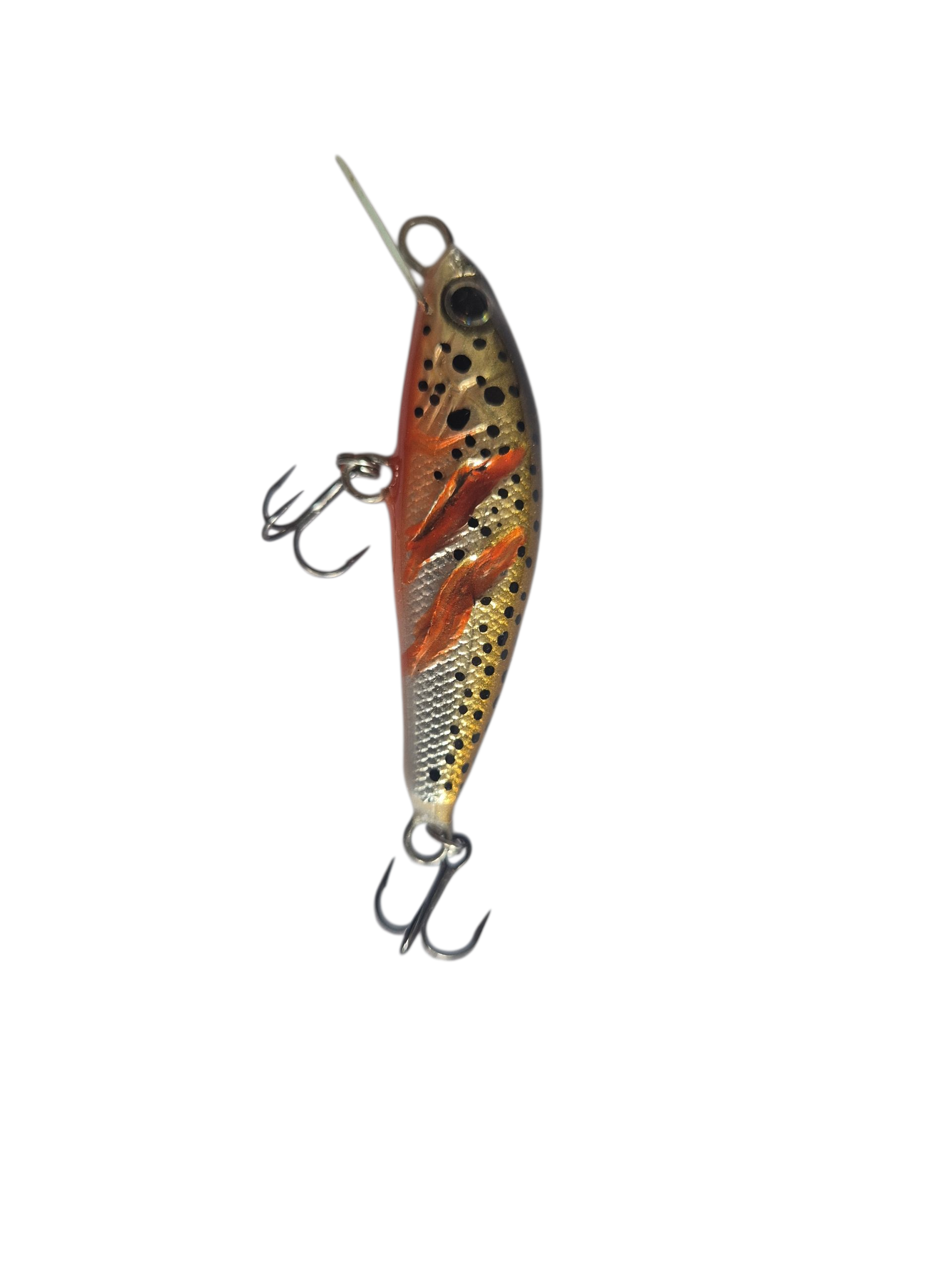 The Bleeding Trout