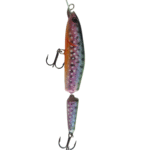 Rainbow Trout