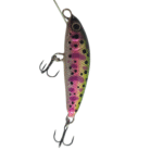 Rainbow Trout