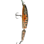 The Classic Trout