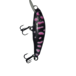 Pink Grey Trout