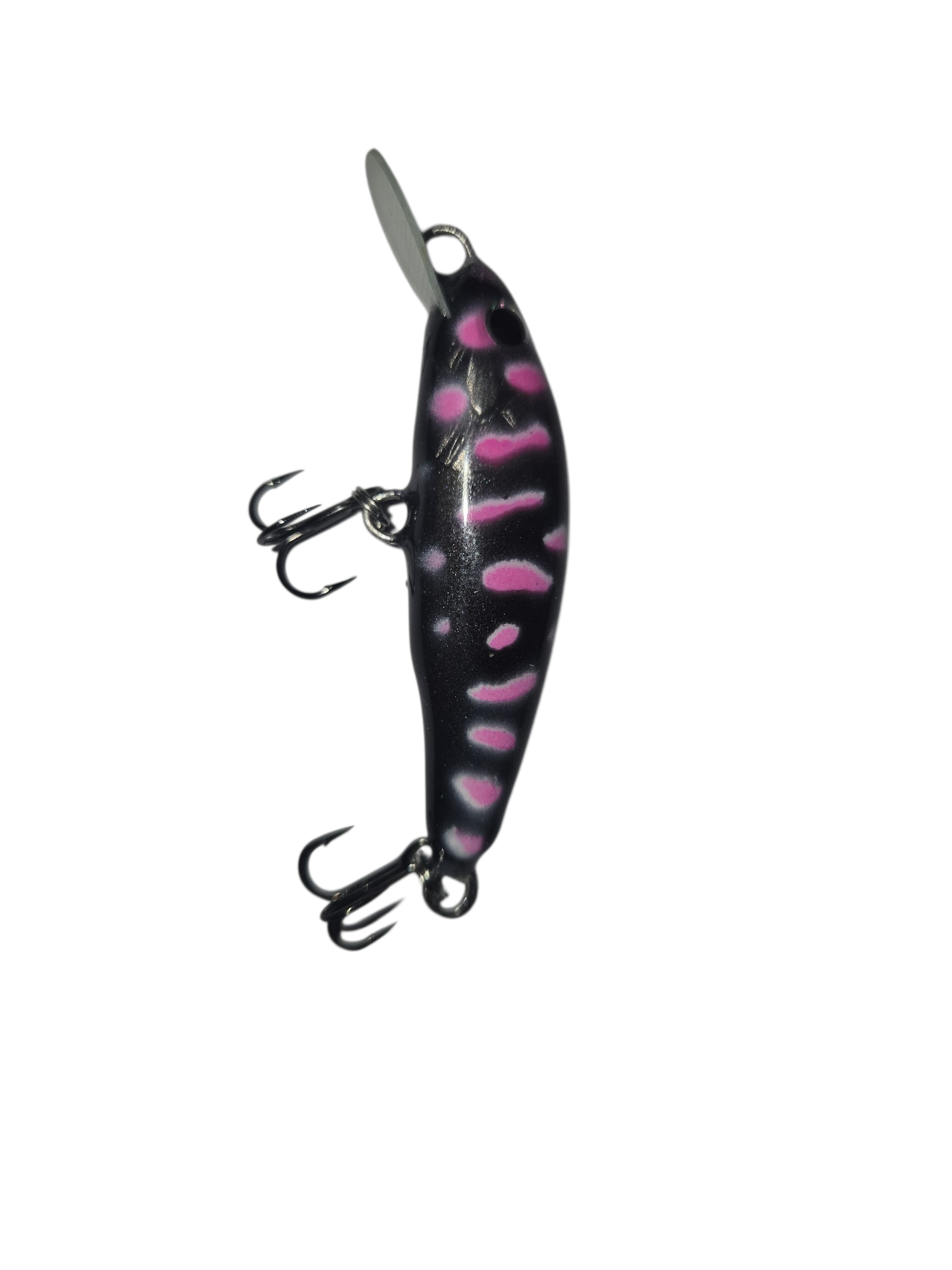 Pink Grey Trout