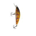 Purple Yellow Trout