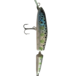Blue Green Trout