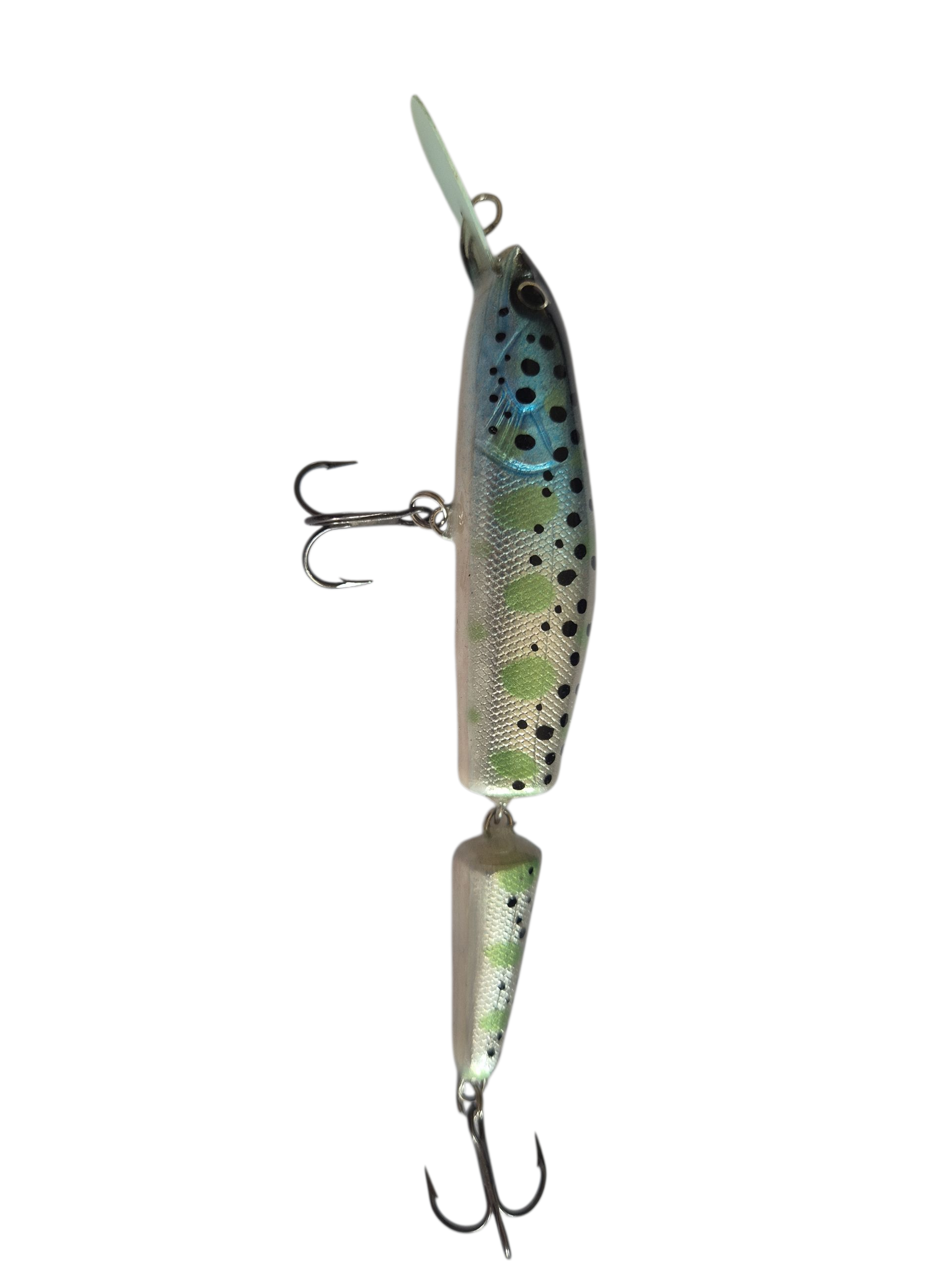 Blue Green Trout