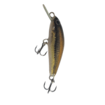 Trout Teaser
