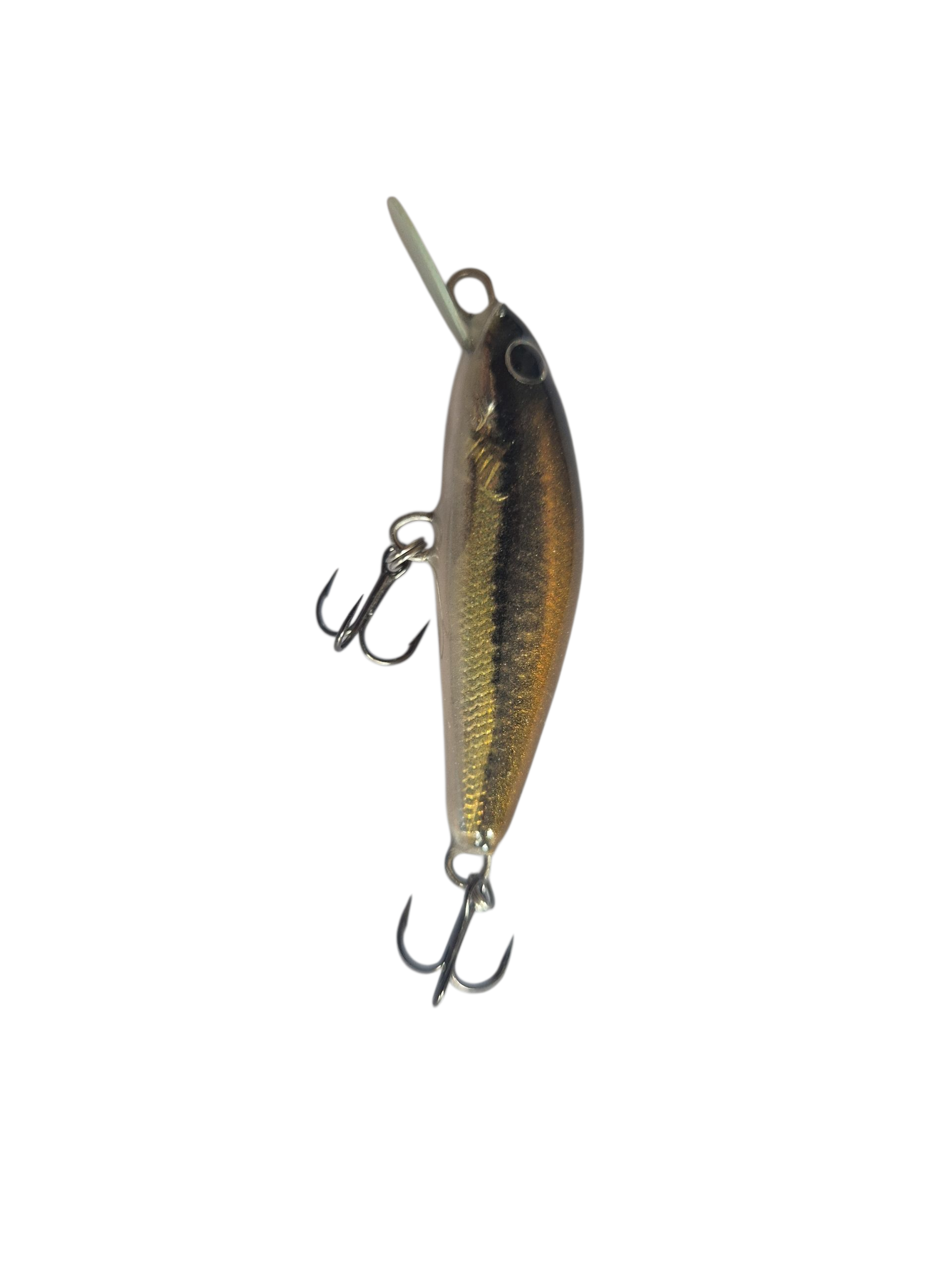 Trout Teaser