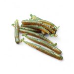 BoniBaits Ned Hybrid Drop Shot