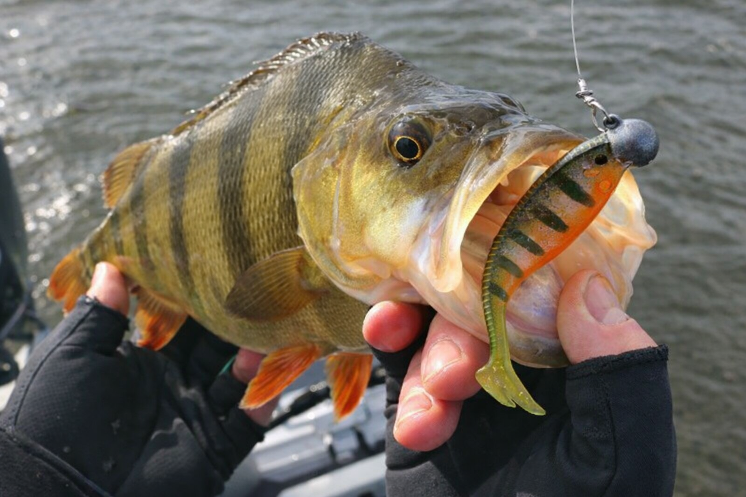 Perch Lures