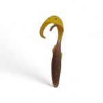 BoniBaits Happy Kid 7.5 Cm